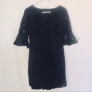 Adrianna Papell Navy Lace Dress (Size 6)